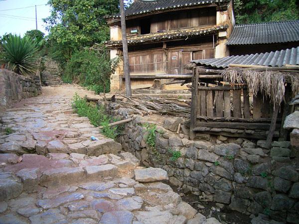 2022年蠻磚古樹春茶特點(diǎn)？