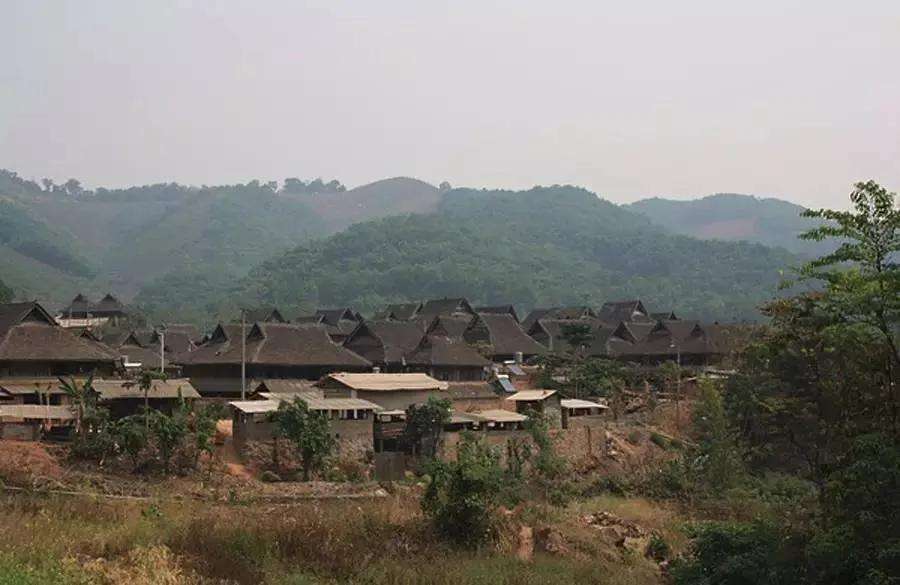 2022年革登古樹春茶特點？