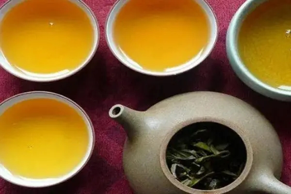 2022年普洱茶怎么泡法才正確？