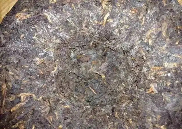 2022年普洱茶受潮發(fā)霉了怎么辦？