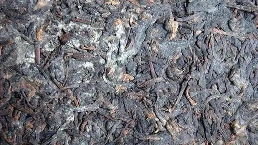 普洱茶怎么樣才算發(fā)霉？