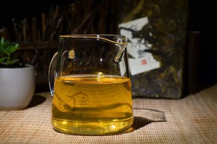 有茶油的普洱茶正常嗎？茶油是如何形成的？