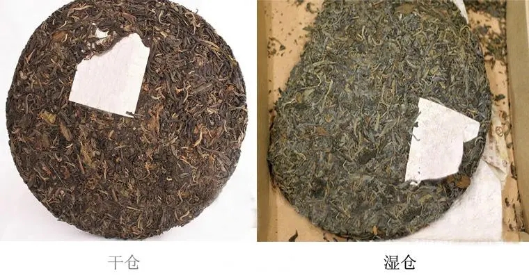 普洱茶怎么分辨干濕倉？