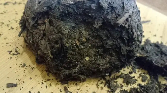 普洱茶蟲子怎么辦？