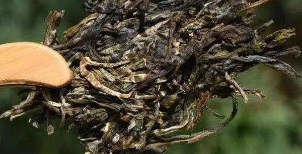 不同普洱茶生產(chǎn)地味道有哪些不同，不同派別的普洱茶味道又如何?