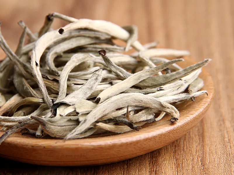 福鼎白茶、安吉白茶、云南月光白“三白”的區(qū)別