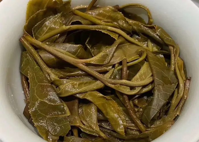 老班章和冰島誰更好喝，要怎么鑒別