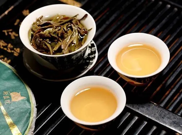 茶會(huì)“說(shuō)話”，讀懂云南古樹(shù)普洱茶的秘訣