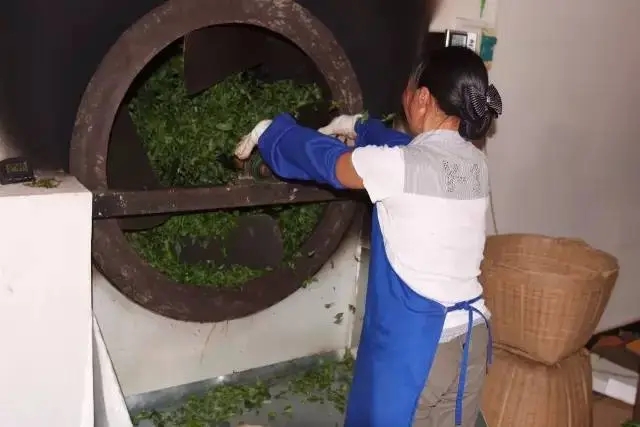 手工殺青與機(jī)器殺青的區(qū)別！