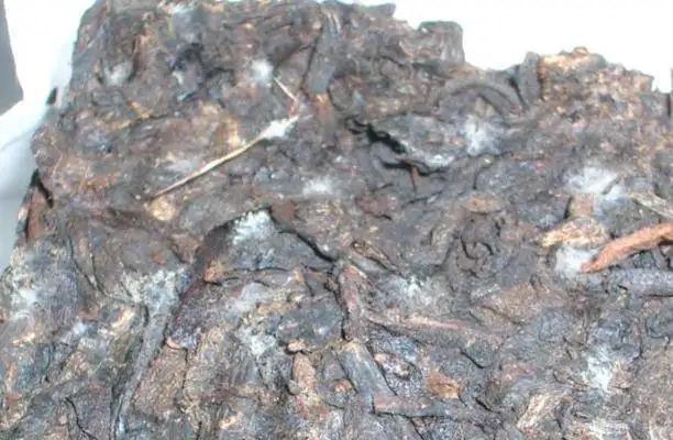 ?普洱茶發(fā)霉了怎么辦？教你妙招應(yīng)對發(fā)霉的普洱茶！