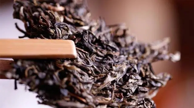 普洱生茶好還是普洱熟茶好喝？如何挑選適合自己的普洱茶？