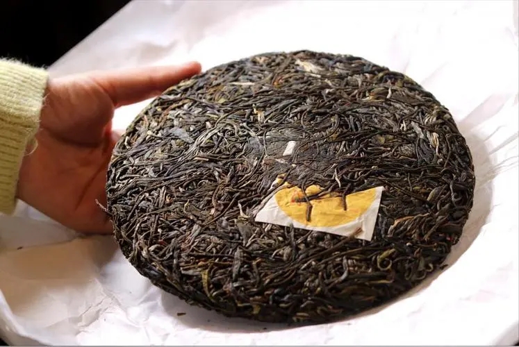 犀牛塘 | 古韻留香，帕沙之王