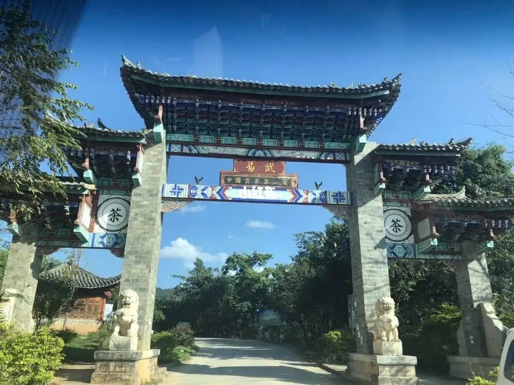 古樹(shù)茶年份越老，茶葉就越好嗎？影響茶葉品質(zhì)的因素有哪些？