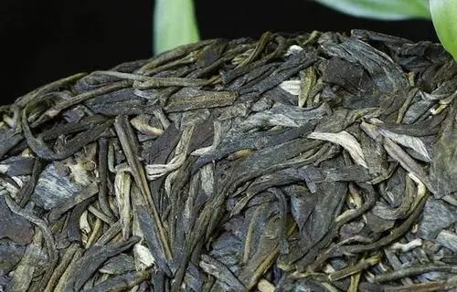 喝普洱茶，一定要喝老茶嗎？