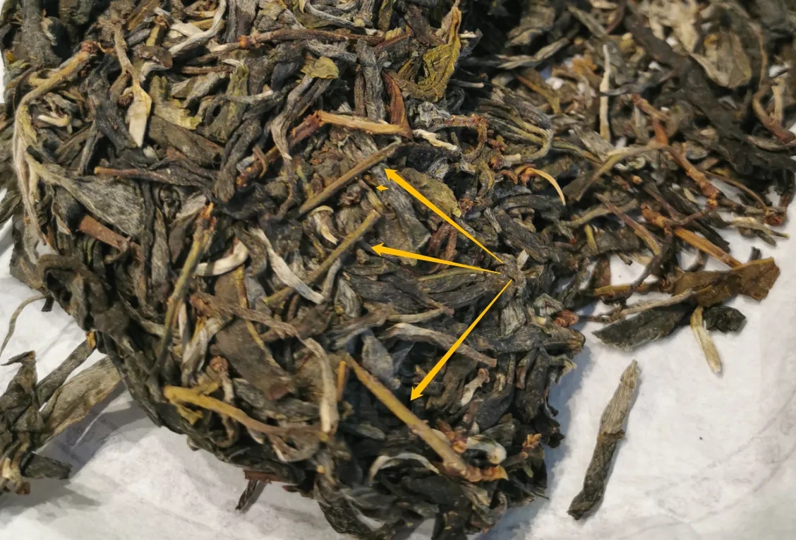 普洱茶的葉底有茶梗，就是茶不好嗎？