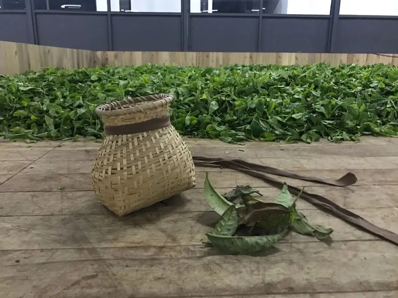 普洱茶，如果不談山頭，我們談什么？