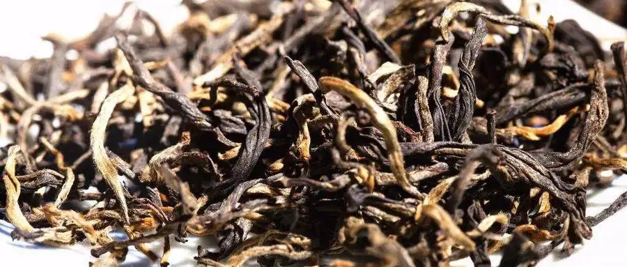 什么是茶氣？茶氣強勁又是一種怎樣的體驗？