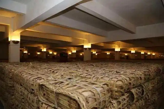 云南古樹普洱茶好在哪？相比小樹茶、臺(tái)地茶有何不同？