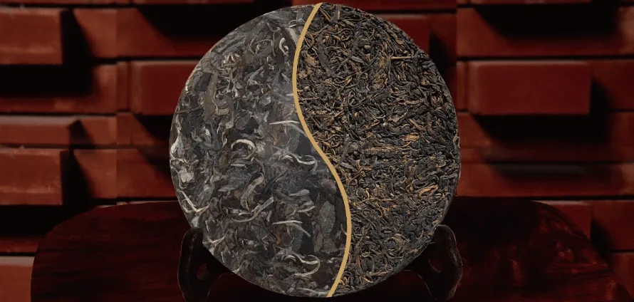 一入普門(mén)深似海？入普洱門(mén)前，你需要了解這些