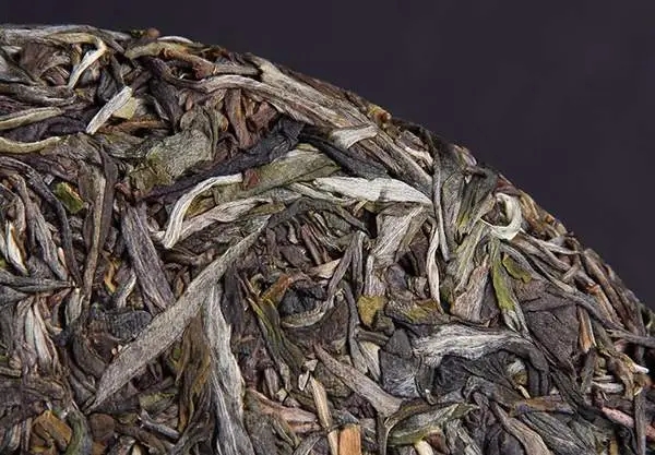 普洱茶屬于什么茶？普洱茶為什么會越陳越香？