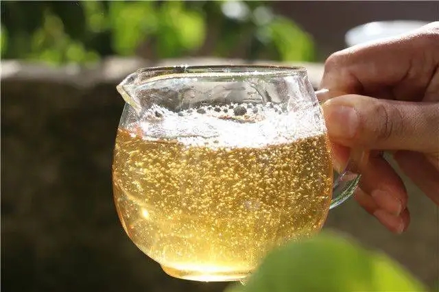 茶顏觀色”，看普洱茶條索里都蘊(yùn)含著怎樣的“密碼”？