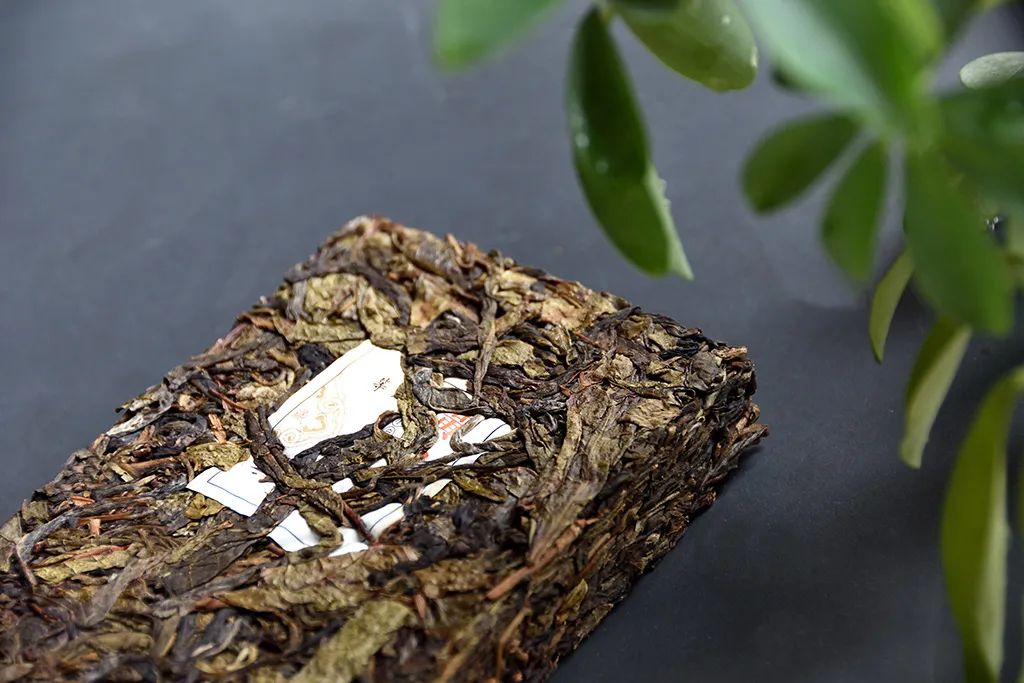 普洱茶古樹(shù)黃片，性價(jià)比超高的口糧茶，有骨有肉香甜順