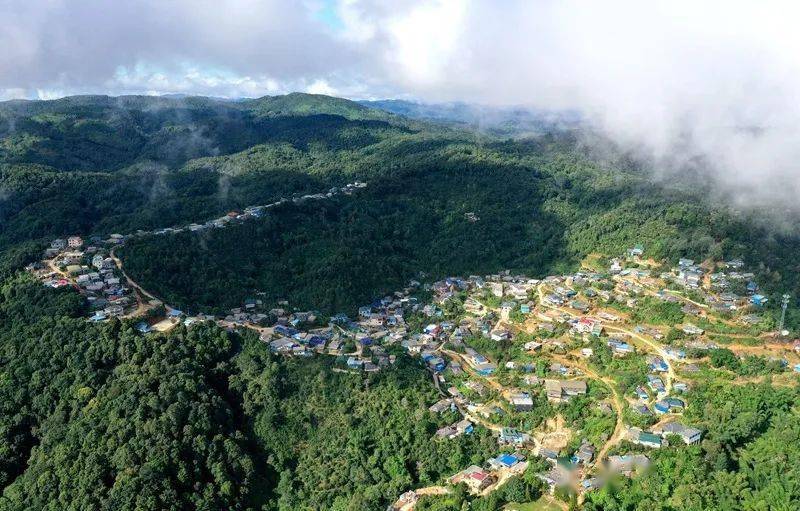 2023年帕沙古樹春茶口感怎么樣？