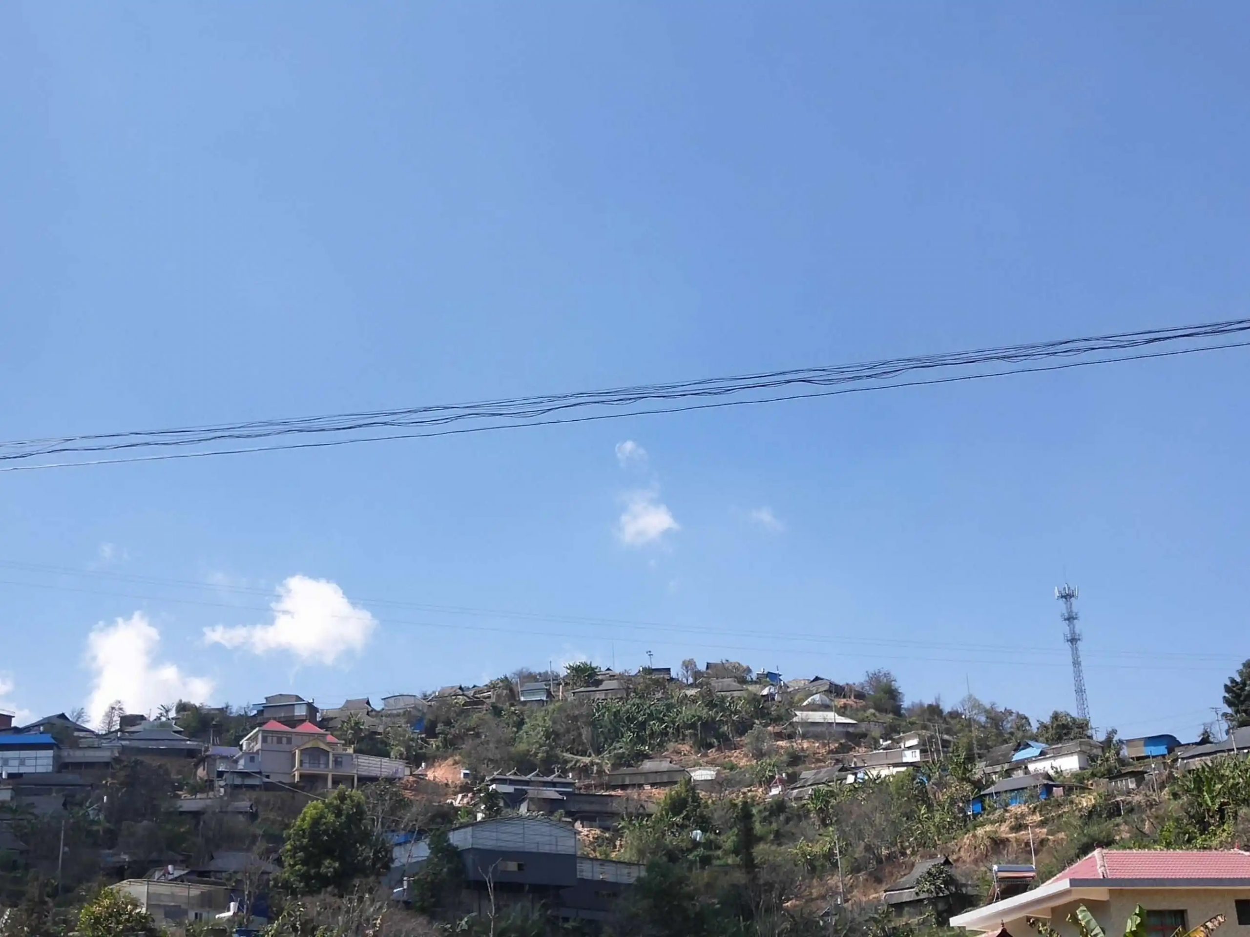 2023帕沙古樹春茶特點(diǎn)是什么？