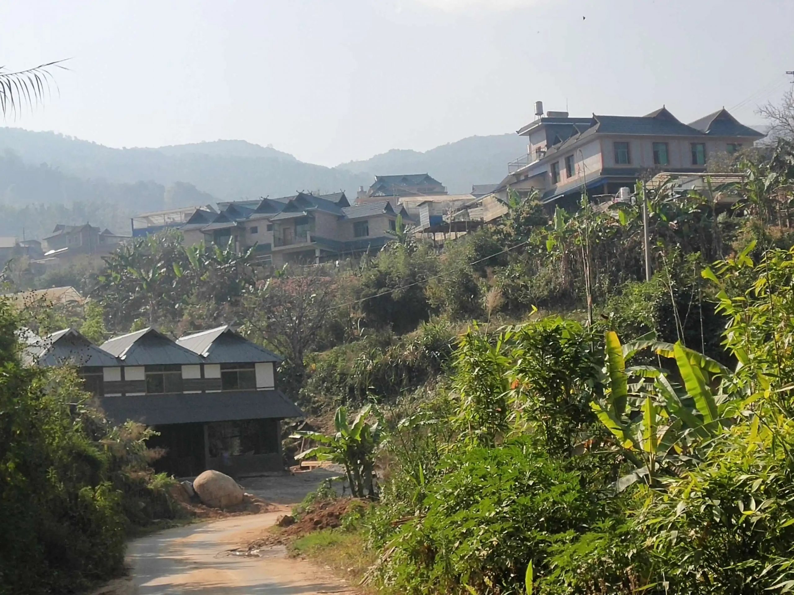 2023年帕沙古樹春茶價(jià)格多少錢？