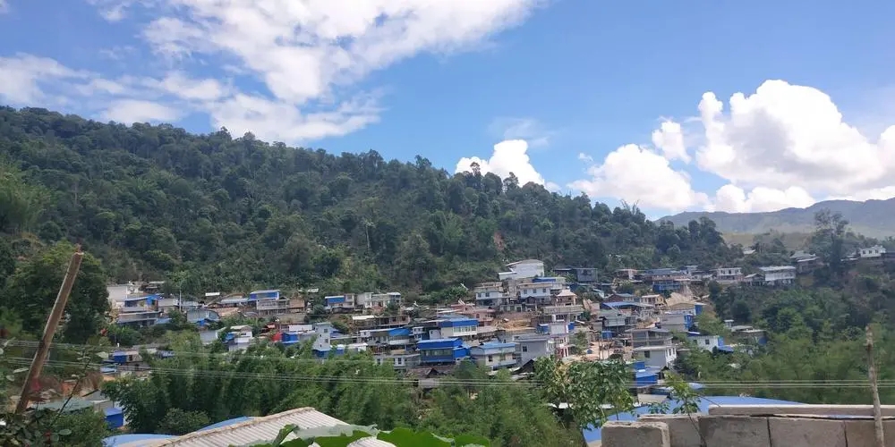 2023年那卡古樹(shù)春茶品質(zhì)如何？