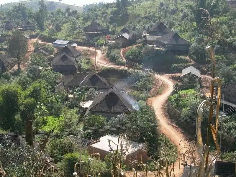 2023年保塘老寨古樹春茶品質(zhì)如何？