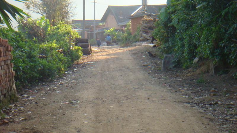 2023年保塘老寨古樹春茶價格是多少？