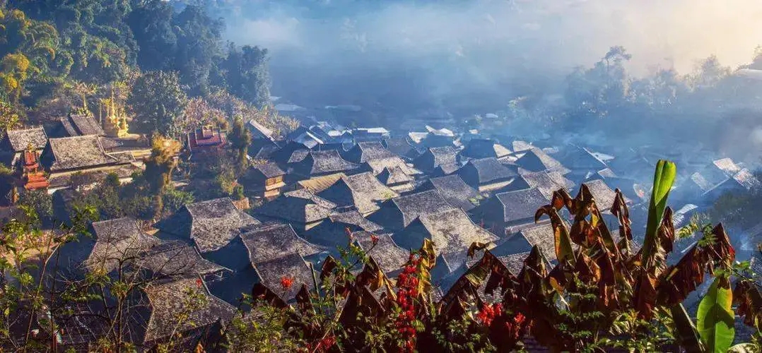 2023年景邁古樹春茶品質如何？