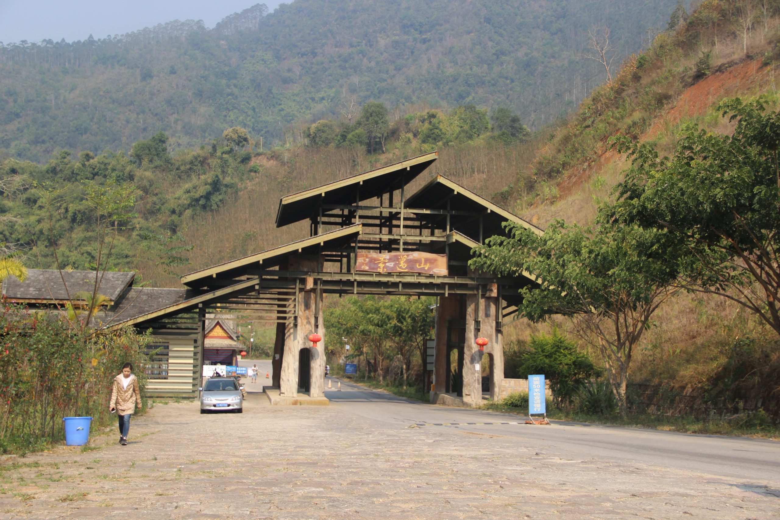 2023年景邁古樹春茶口感如何？