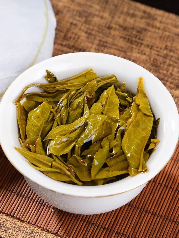 2023白鶯山古樹春茶特點是什么？