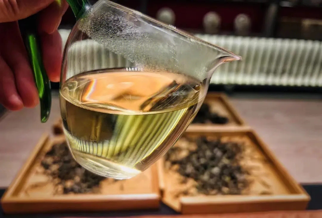 2023年鳳凰窩古樹春茶價格是多少？