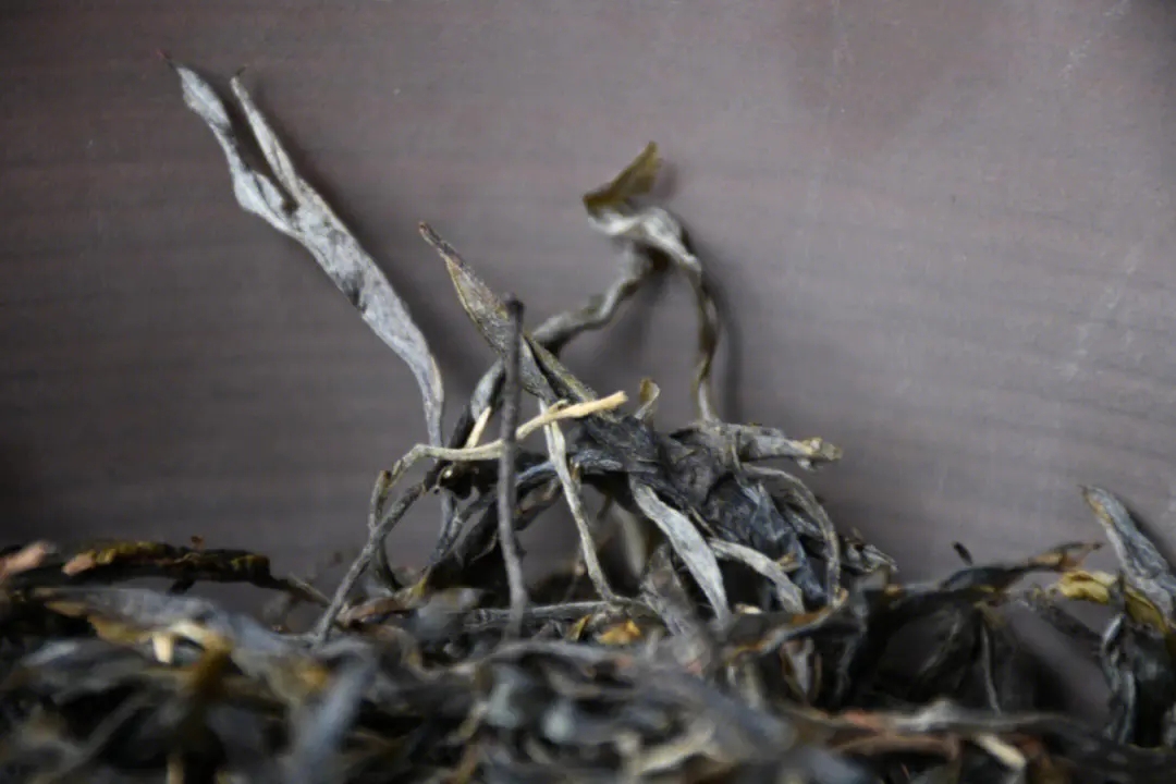 2023年正氣塘古樹春茶多少一公斤？