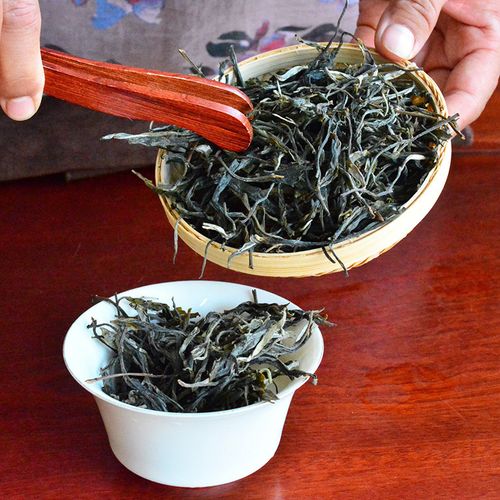 2023年地界古樹春茶口感是什么？