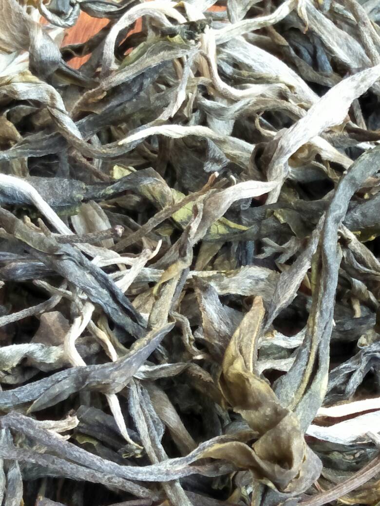 2023年壩歪古樹春茶價格是多少？