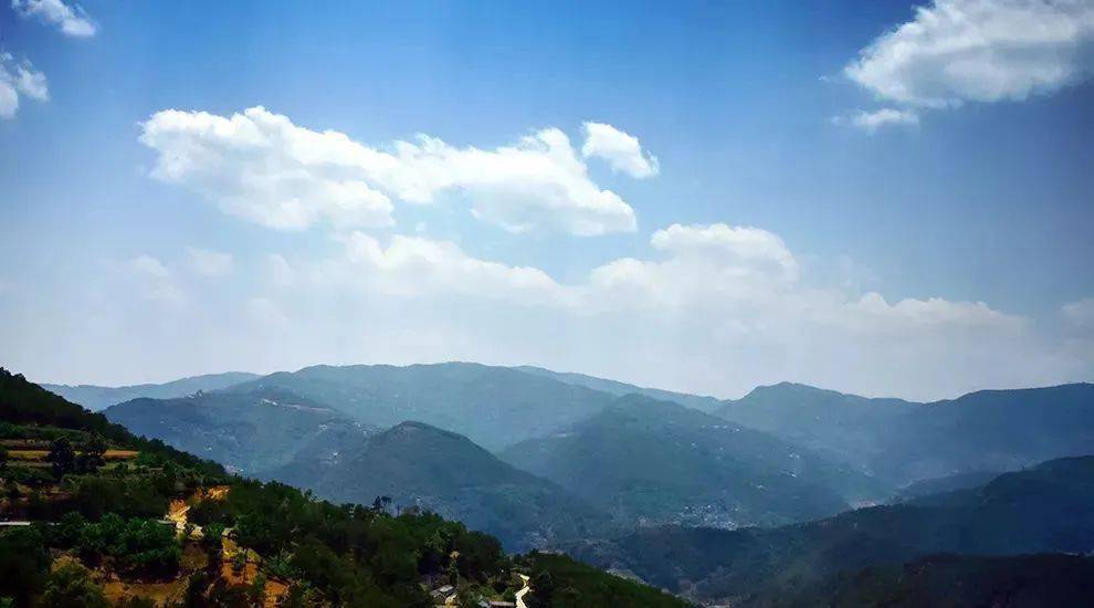 2023年勐庫大忠山古樹春茶價(jià)格是多少?