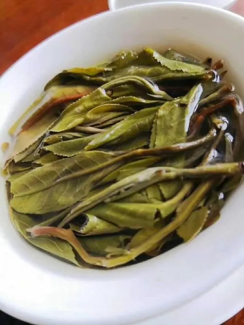 2023年鍋底塘古樹春茶特點(diǎn)是什么？