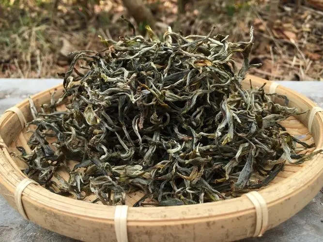 2023年易武張家灣古樹春茶品質(zhì)如何？