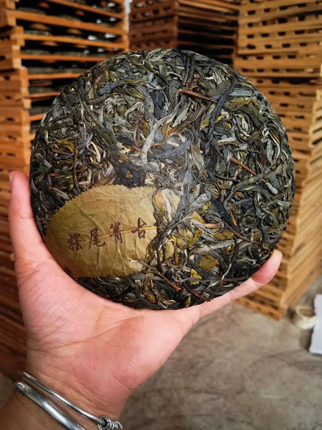 2023年寧洱擺尾箐古樹春茶品質(zhì)怎么樣？