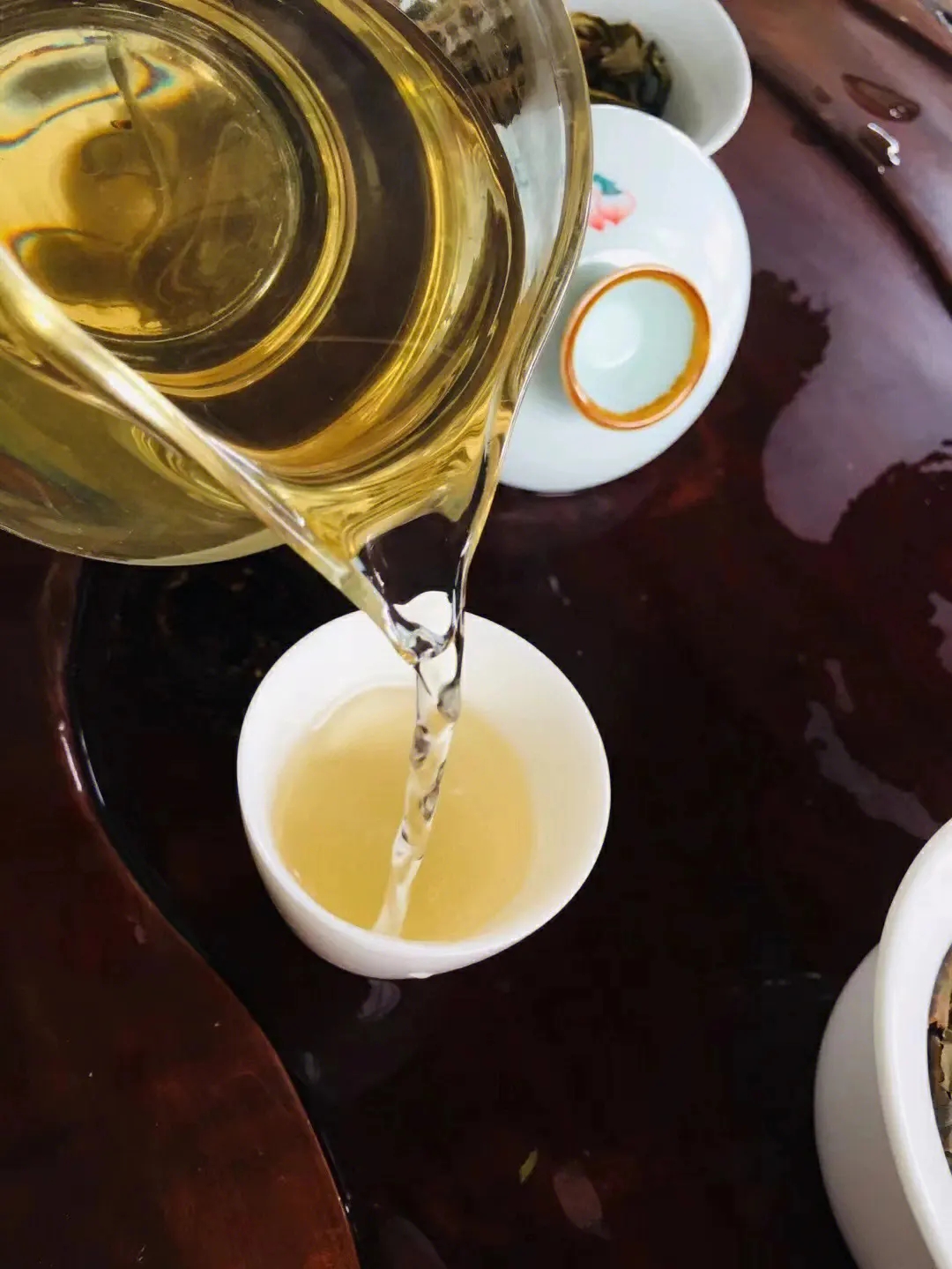 2023年鎮(zhèn)沅老海塘古樹春茶價(jià)格是多少？