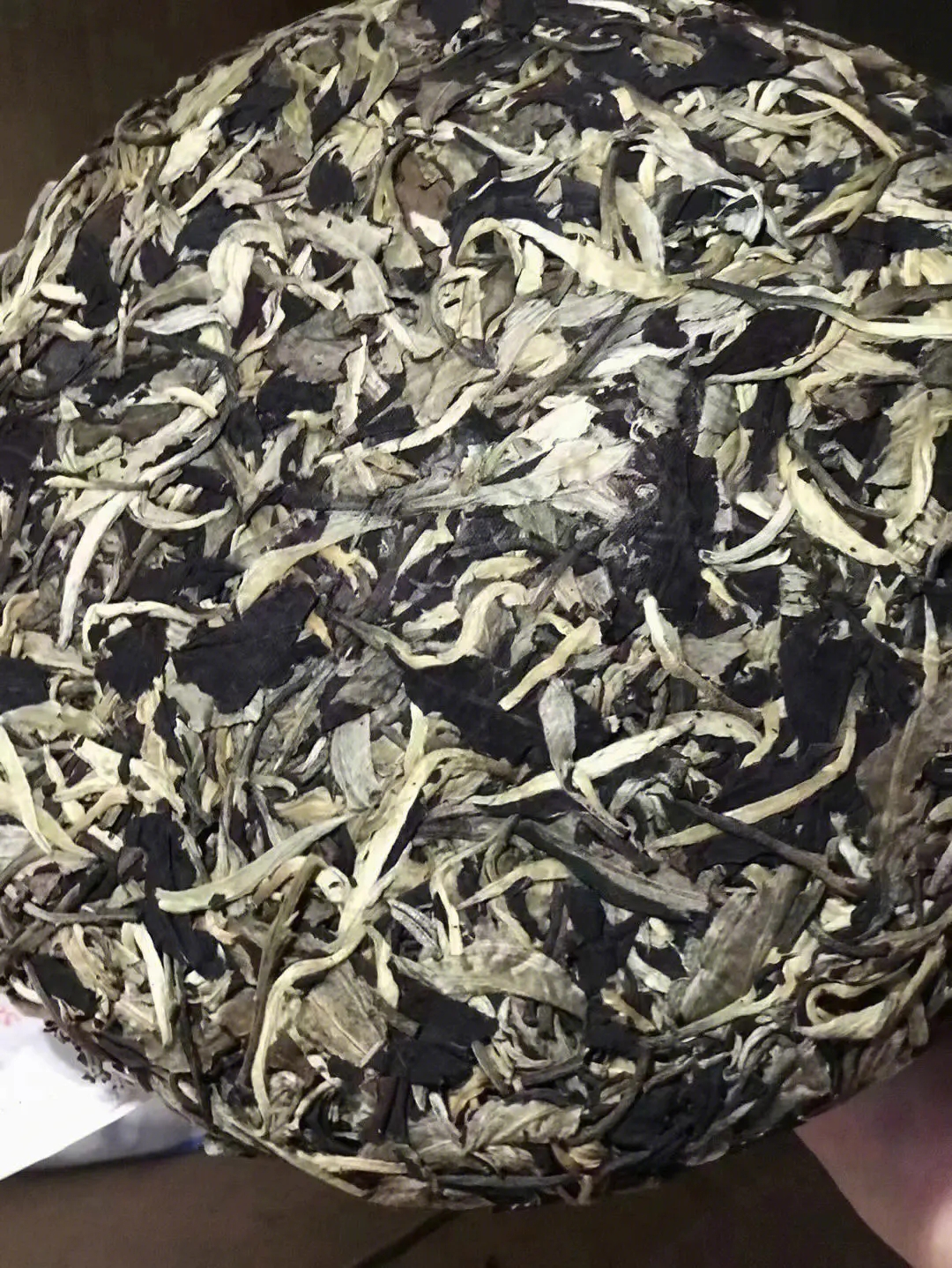 2023年月光白茶特點是什么？