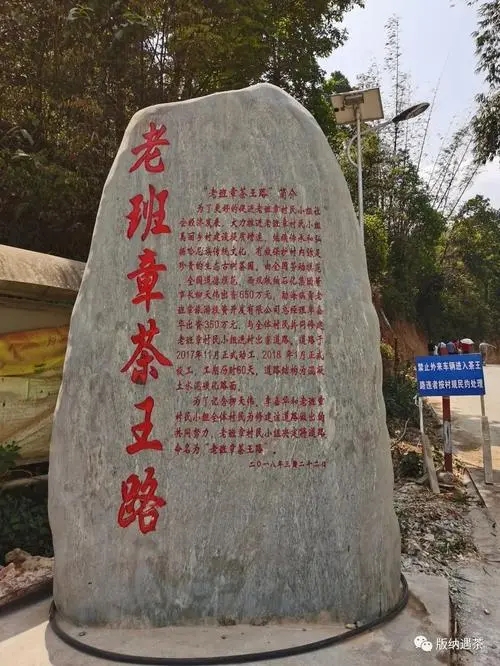 2024年老班章古樹(shù)春茶品質(zhì)如何？