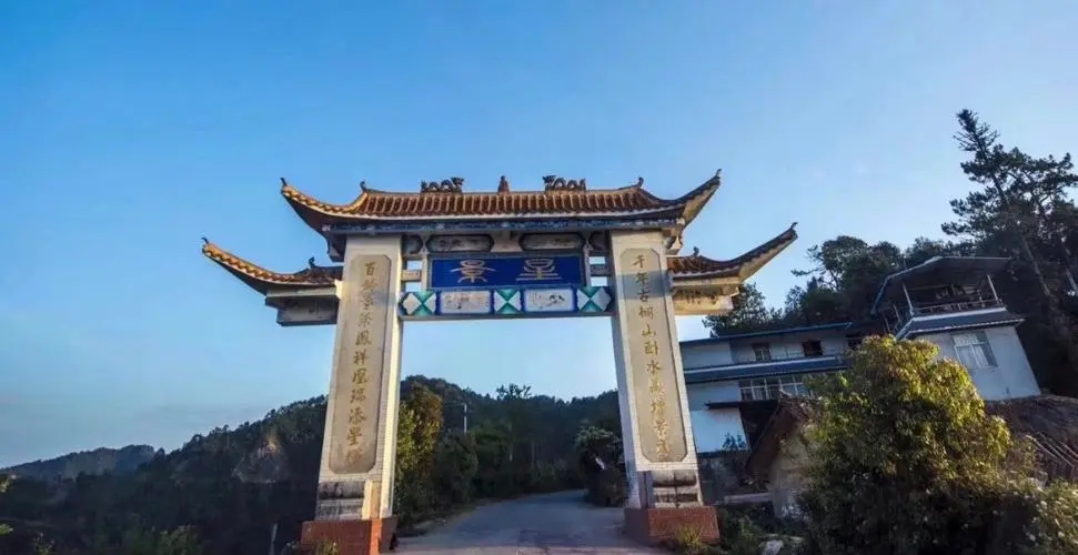 2024年墨江鳳凰窩古樹春茶特點(diǎn)是什么？