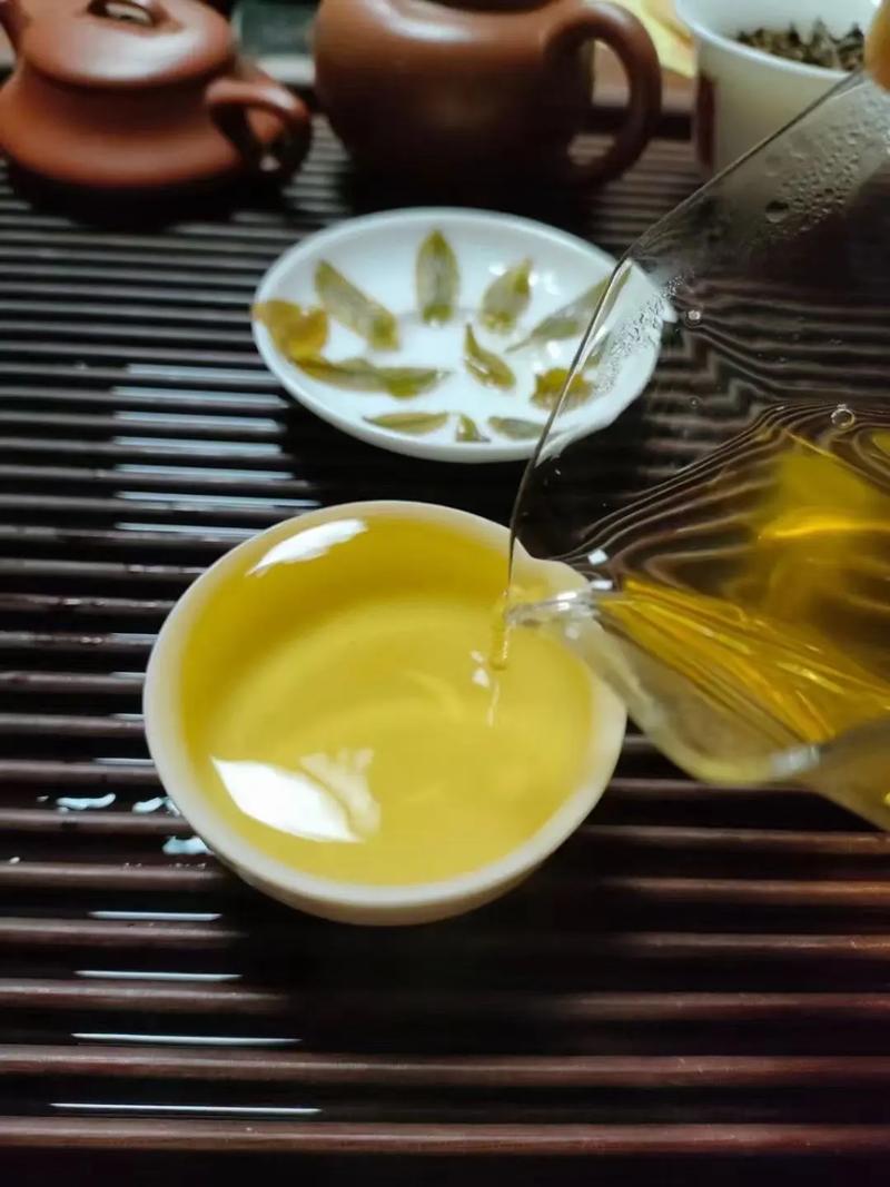 倚邦貢茶，甘甜醇柔